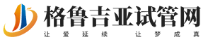 格鲁吉亚试管网