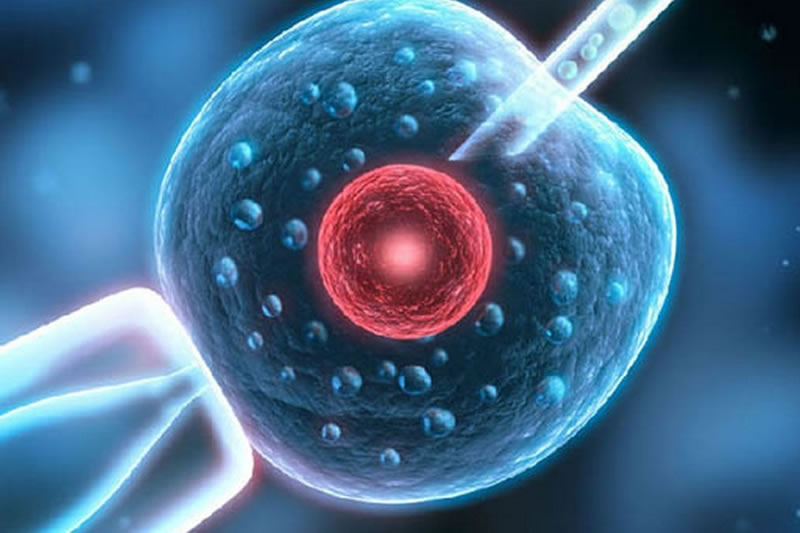 试管移植后食欲特别好是不是没戏了