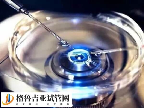 囊胚解冻后降级了还能否成功