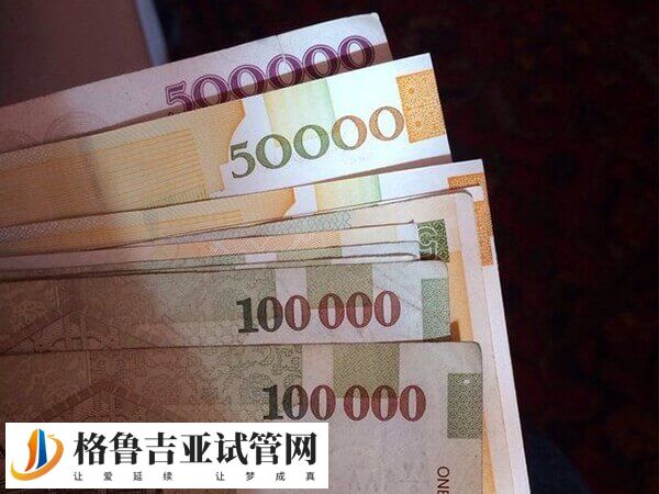 格鲁吉亚三代试管婴儿的费用比国内便宜是真的吗？